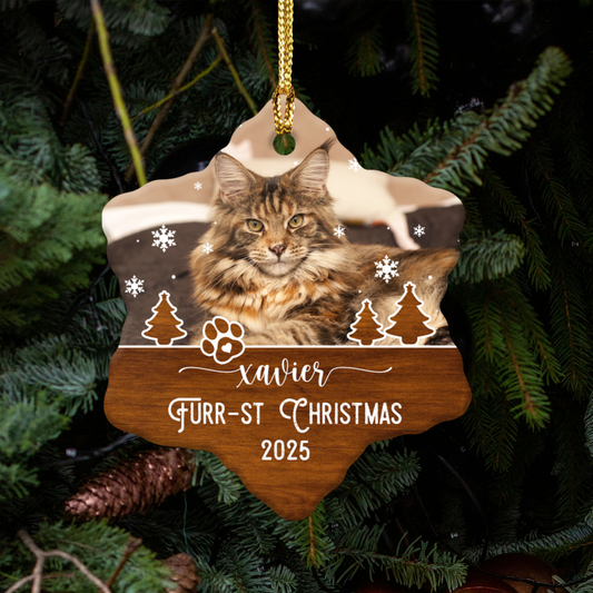 First Christmas | Personalized Pet Christmas Ornament | Custom Ceramic Star Decoration | Holiday Keepsake, Cat & Dog Memorial, Seasonal Decor, Pet Lover Gift