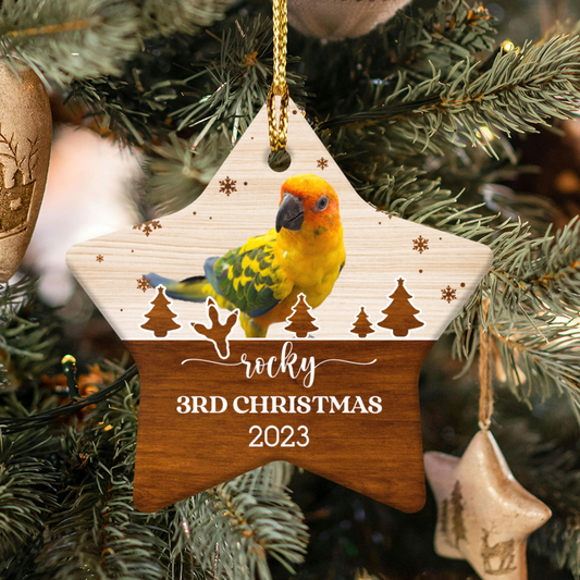 Personalized Pet Ceramic Ornament, Custom Christmas Decoration, Dog Lover Gift, Holiday Keepsake, 1st Christmas 2025, Christmas gift for Pet lover