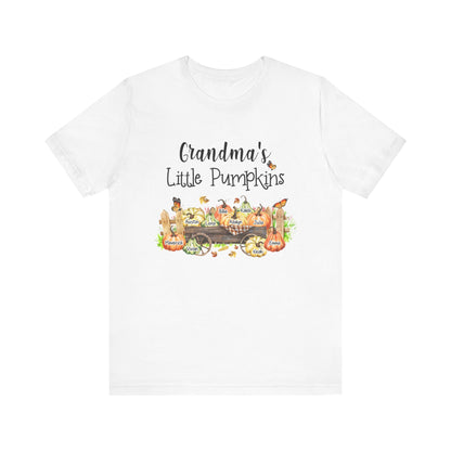 Grandma's Little Pumpkins Tee, Fall T-Shirt, Halloween Shirt, Family Gathering Outfit, Pumpkin Patch Apparel, Cute Autumn Wear